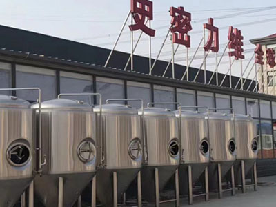 博尔塔拉精酿啤酒设备厂—如何判断精酿啤酒设备的密封件需要更换？